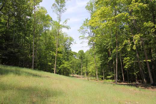 Along greenway thru narrow section