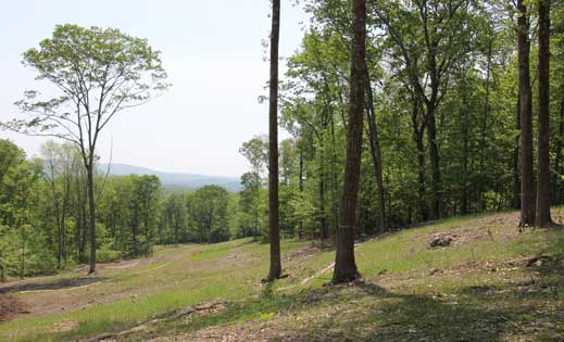 Distant view near site 7