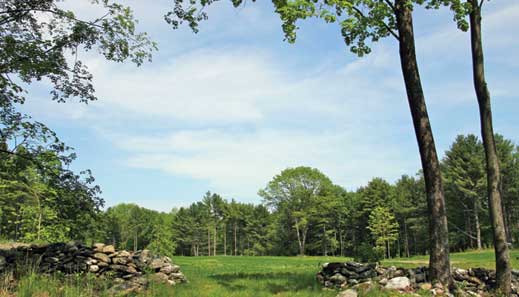 The Greenway on White's Hill Road